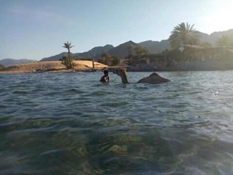 Auberge de jeunesse Sebaii Camp السباعى كامب شاطئ الترابين بجوار ويت بالس à Nuweiba` Extérieur photo