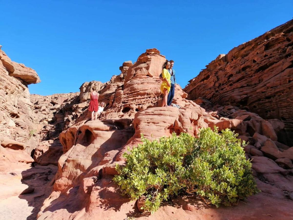 Auberge de jeunesse Sebaii Camp السباعى كامب شاطئ الترابين بجوار ويت بالس à Nuweiba` Extérieur photo