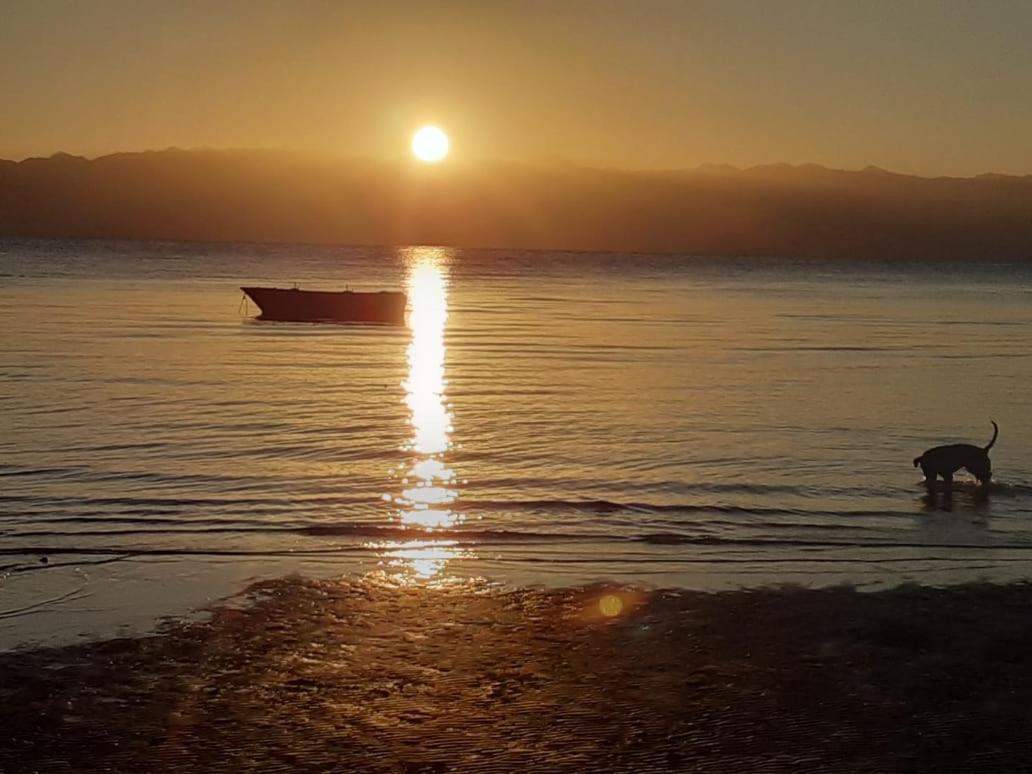 Auberge de jeunesse Sebaii Camp السباعى كامب شاطئ الترابين بجوار ويت بالس à Nuweiba` Extérieur photo